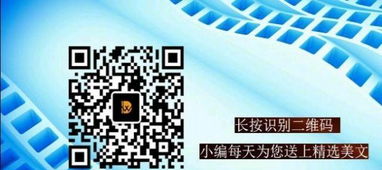 哈爾濱網(wǎng)站建設(shè)與推廣 一站式解決方案助力企業(yè)新式網(wǎng)絡(luò)營銷